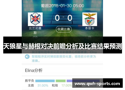 天狼星与赫根对决前瞻分析及比赛结果预测